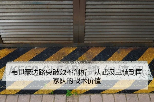 wei-shi-hao-bian-lu-tu-po-xiao-lv-pou-xi-cong-wu-han-san-zhen-dao-guo-jia-dui-de-zhan-shu-jia-zhi-2-937.jpg