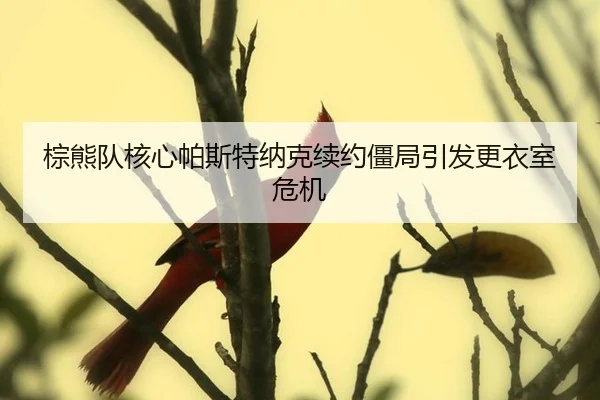 zong-xiong-dui-he-xin-pa-si-te-na-ke-xu-yue-jiang-ju-yin-fa-geng-yi-shi-wei-ji-2-705.jpg
