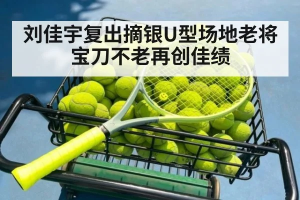 刘佳宇复出摘银U型场地老将宝刀不老再创佳绩